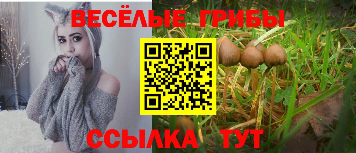 Галлюциногенные грибы мицелий Чайковский